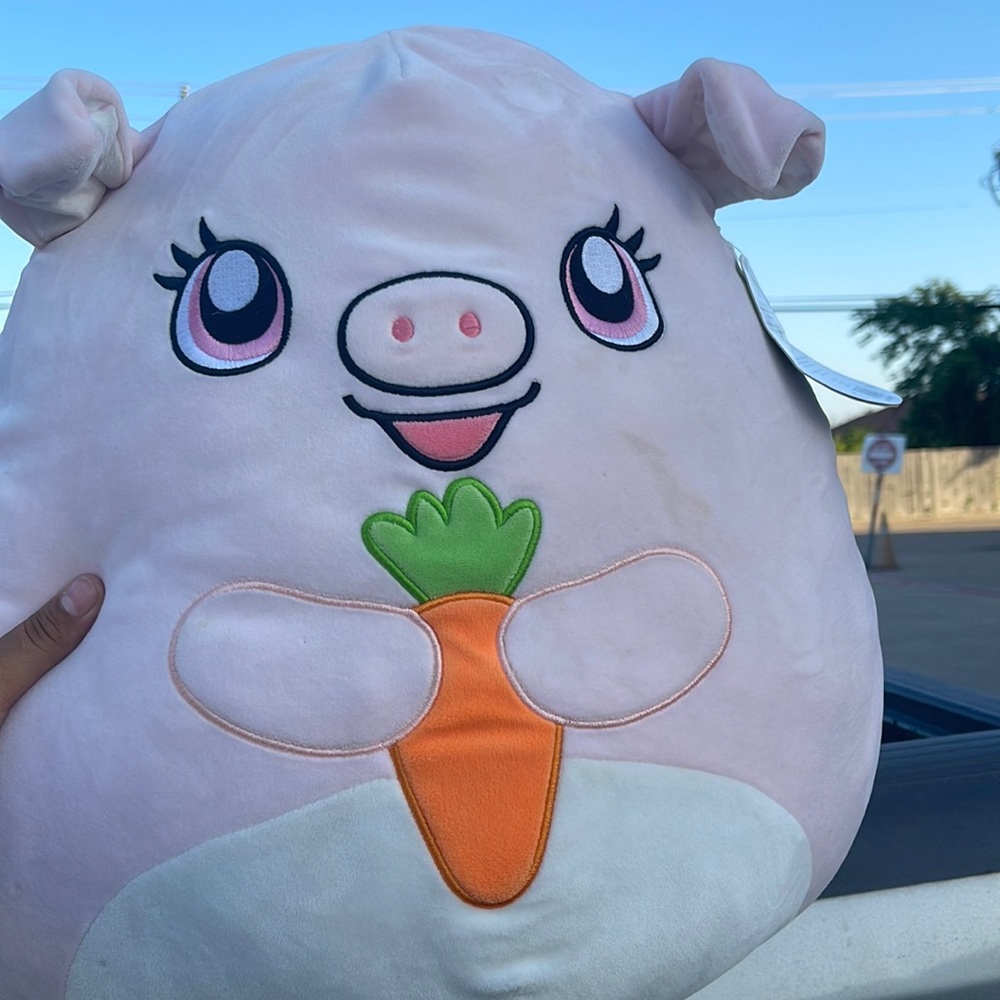 Hettie squishmallows